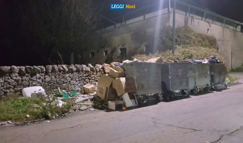 Nessun freno ai rifiuti depositati per strada