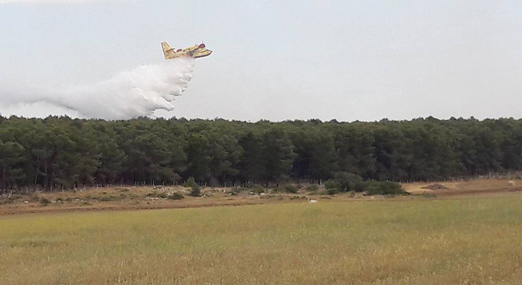 Incendi, a lavoro i volontari de Il Gabbiano