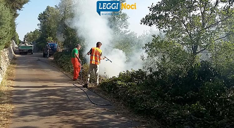 Incendio su via Barsento, bruciano rifiuti