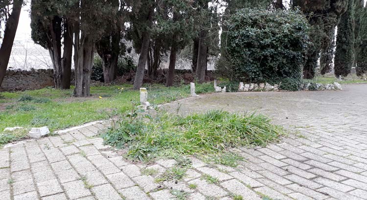 Noci Riparte: riflettori sullo stato di degrado del cimitero comunale