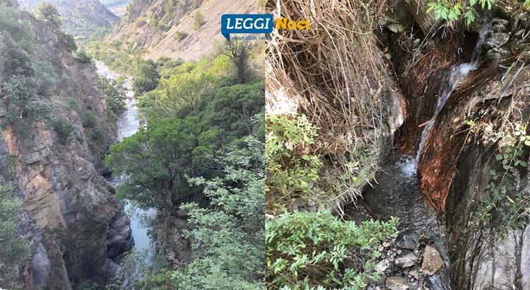 Tragedia del Pollino: tra i pugliesi tre vittime e tre sopravvissuti, nocesi miracolati