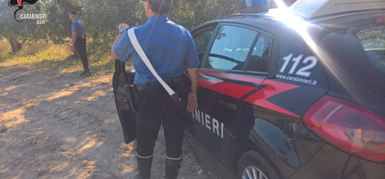 Controlli dei Carabinieri alle aziende agricole. Rilevate violazioni alla legislazione speciale sul lavoro