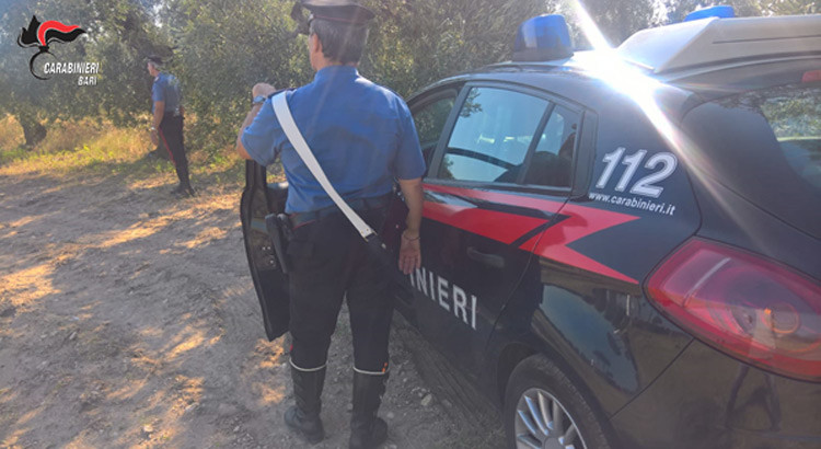 Controlli dei Carabinieri alle aziende agricole. Rilevate violazioni alla legislazione speciale sul lavoro