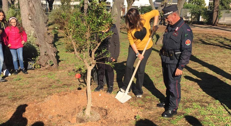 Giornata Nazionale degli Alberi: un nuovo albero piantumato nella Villa Comunale