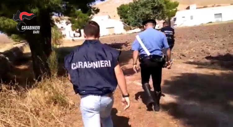 Arrestato imprenditore agricolo nocese