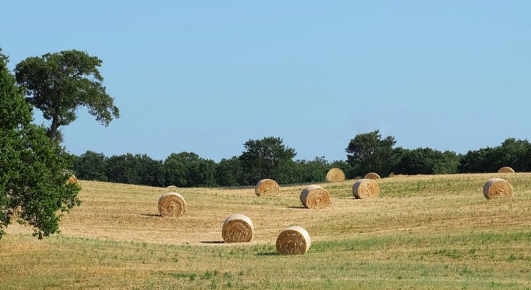 Il paesaggio che mangiamo: un progetto per la promozione del benessere fisico e alimentare