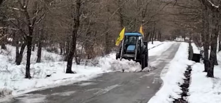 Maltempo: a rischio frutta e verdura