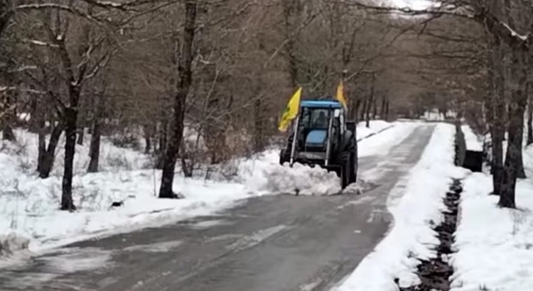 Maltempo: a rischio frutta e verdura