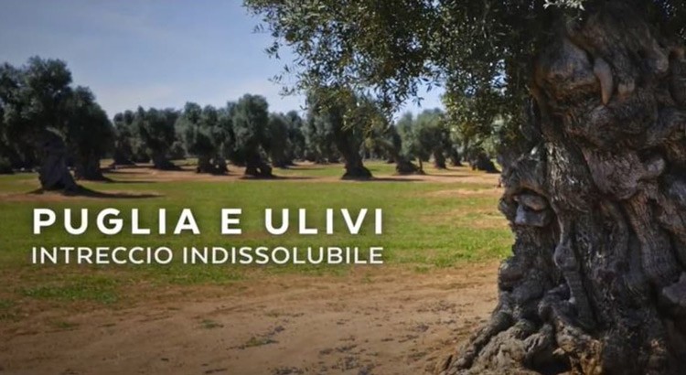 Regione e Città dell’Olio presentano lo spot del regista Alessandro Piva