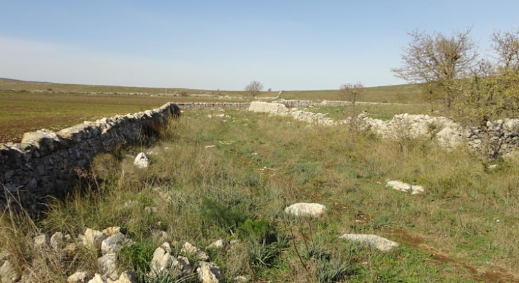 Oggi tra Putignano e Noci per il cammino di Don Tonino Bello