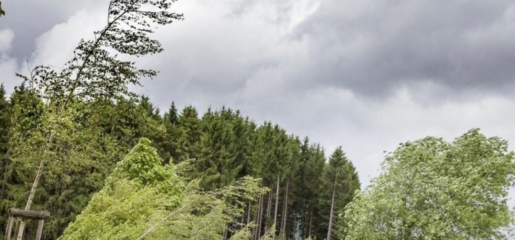 Meteo: tornano le raffiche di vento nel fine settimana