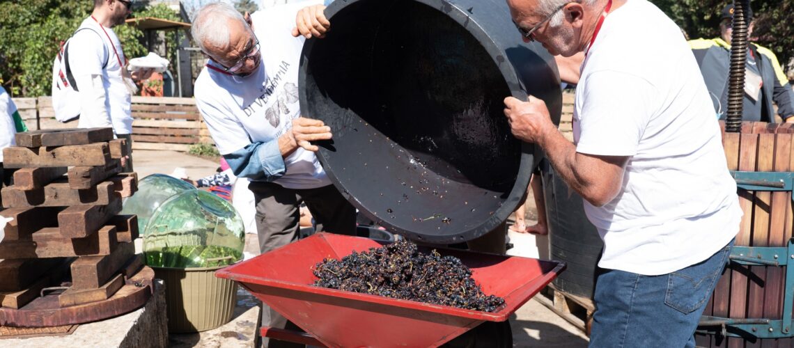 È tempo di vendemmia! Un’esperienza unica per i piccoli delle scuole primarie