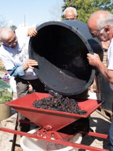 È tempo di vendemmia! Un’esperienza unica per i piccoli delle scuole primarie