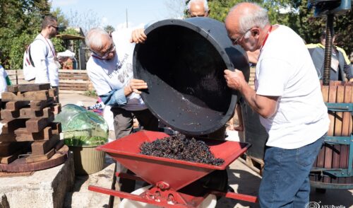 È tempo di vendemmia! Un’esperienza unica per i piccoli delle scuole primarie