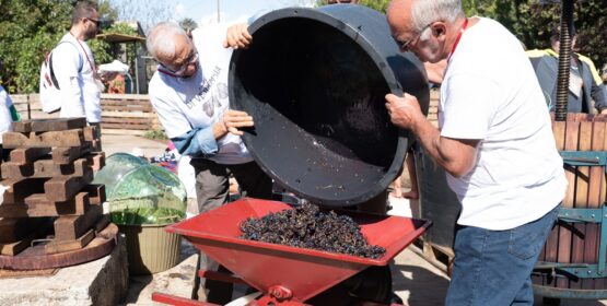 È tempo di vendemmia! Un’esperienza unica per i piccoli delle scuole primarie