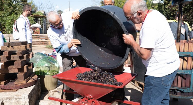 È tempo di vendemmia! Un’esperienza unica per i piccoli delle scuole primarie