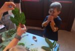 Biblioteca comunale: letture e laboratorio sensoriale per bimbe e bimbi dai 5 ai 7 anni